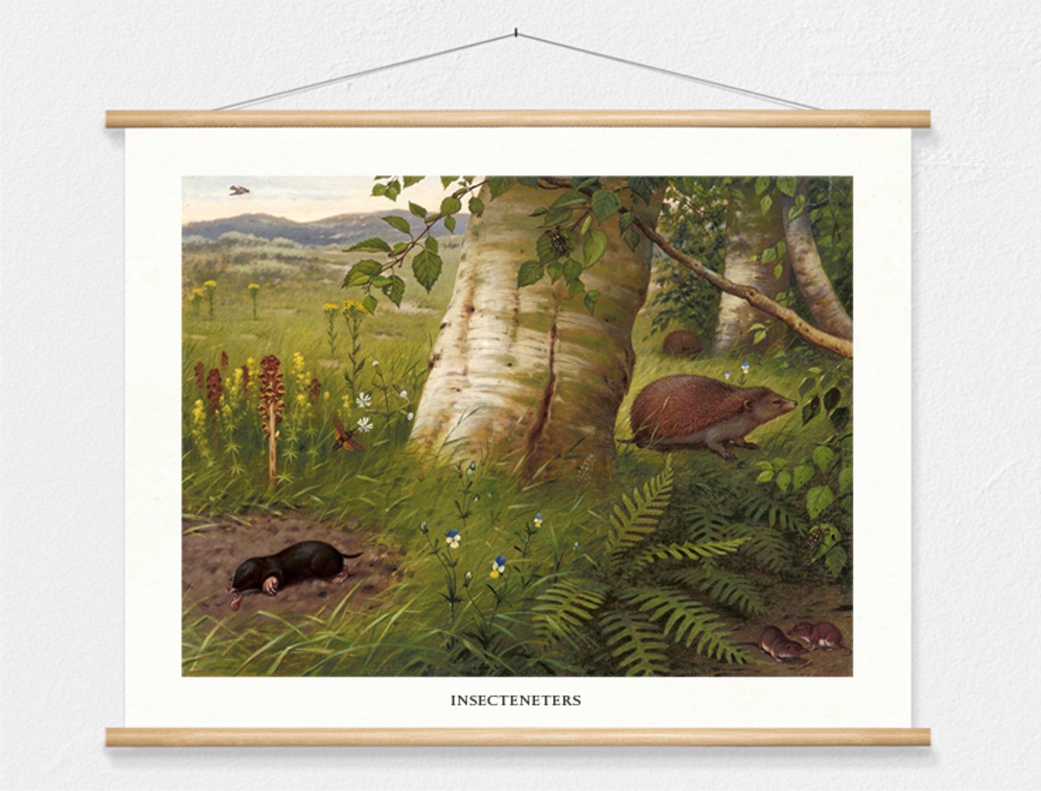 wallchart unlimited Schoolplaat "Insecteneters", geschilderd door M. A. Koekkoek wit