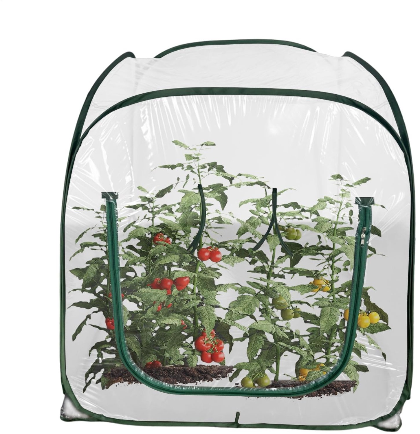 Famanu – Mini kas buiten doorzichtig opvouwbaar voor planten kweken