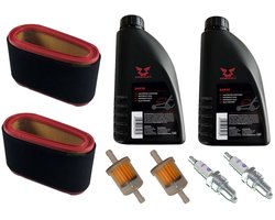 Bougie + filter + SAE30-olie voor WM12,5, WM13,5, WM14,5, WM14, WM16, Efco, Stiga, BCPR5ES