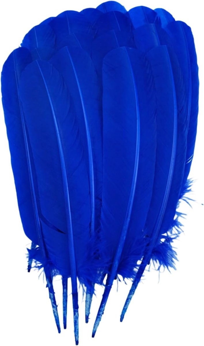 Veren 25-30 cm, 24 stuks veren bulk voor knutselen, doe-het-zelf natuurlijke grote verenambachten voor decoraties (koningsblauw)