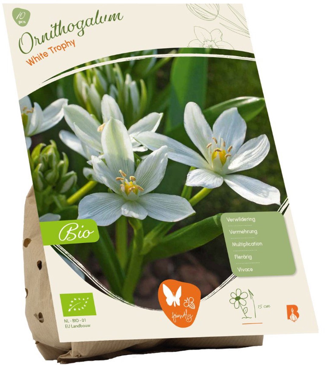 Ornithogalum White Trophy BIO 10 stuks bloembollen Baltus