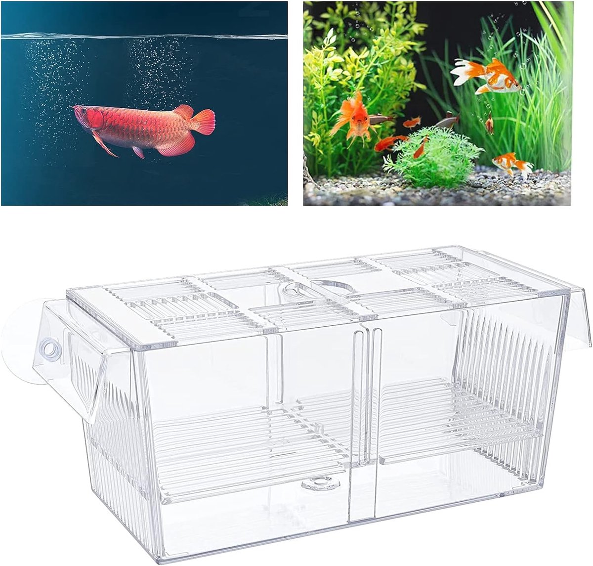 Aquarium opslagcontainer 220 x 95 x 100 mm - kweekbox voor jonge vissen - beschermt tegen aanvallen - SnelShoppen