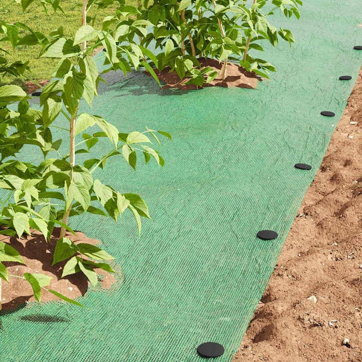 100 STK. Set zwart Ø3 x 11 cm kunststof haringen voor tuin tenten dekzeilen