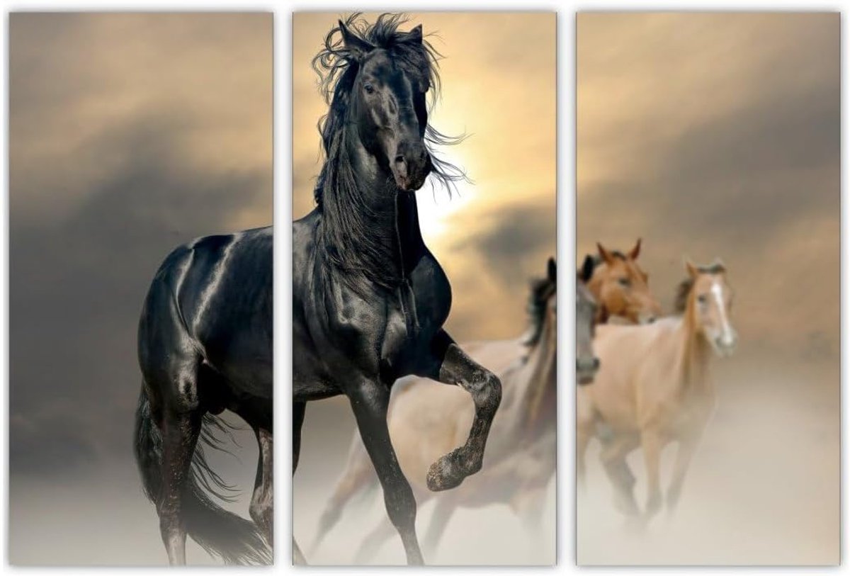 AREDE Set of 3 Wall Art Painting Poster Black Horse (90X60cm) Home Office Wall Decor Living Room Bedroom Decoration - ShopVlot