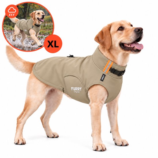 Een labrador draagt een beige softshell hondenjas. De jas heeft een hoge kraag, verstelbare sluiting en reflecterende strips op de rug en kraag.