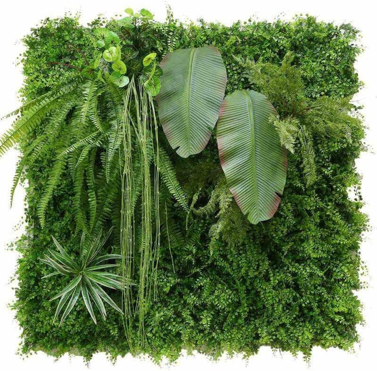 Kunstmatige plantenwand voor buiten Eden – Paneel 100 x 100 cm – onderhoudsvrij – decoratie voor slaapkamer, kantoor en terras voor buiten met uv-bescherming