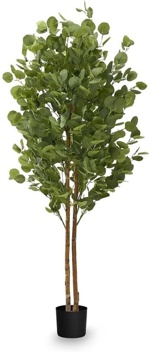 Kunstbomen voor Huisdecoratie - Eucalyptus 150 cm - Kunstplanten
