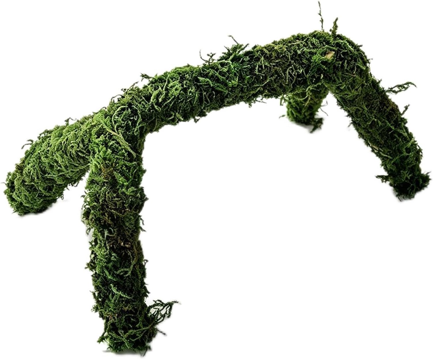 Moss klimstok voor hagedissen - verstelbaar - natuurlijk reptielen speelgoed - stimuleert activiteit - Vemera