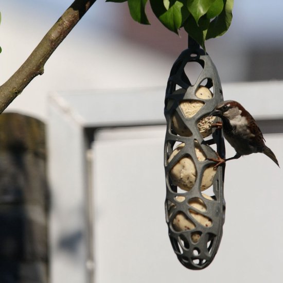 Mus eet van een grijze, organisch gevormde vogelvoerhouder gevuld met drie vetbollen.
