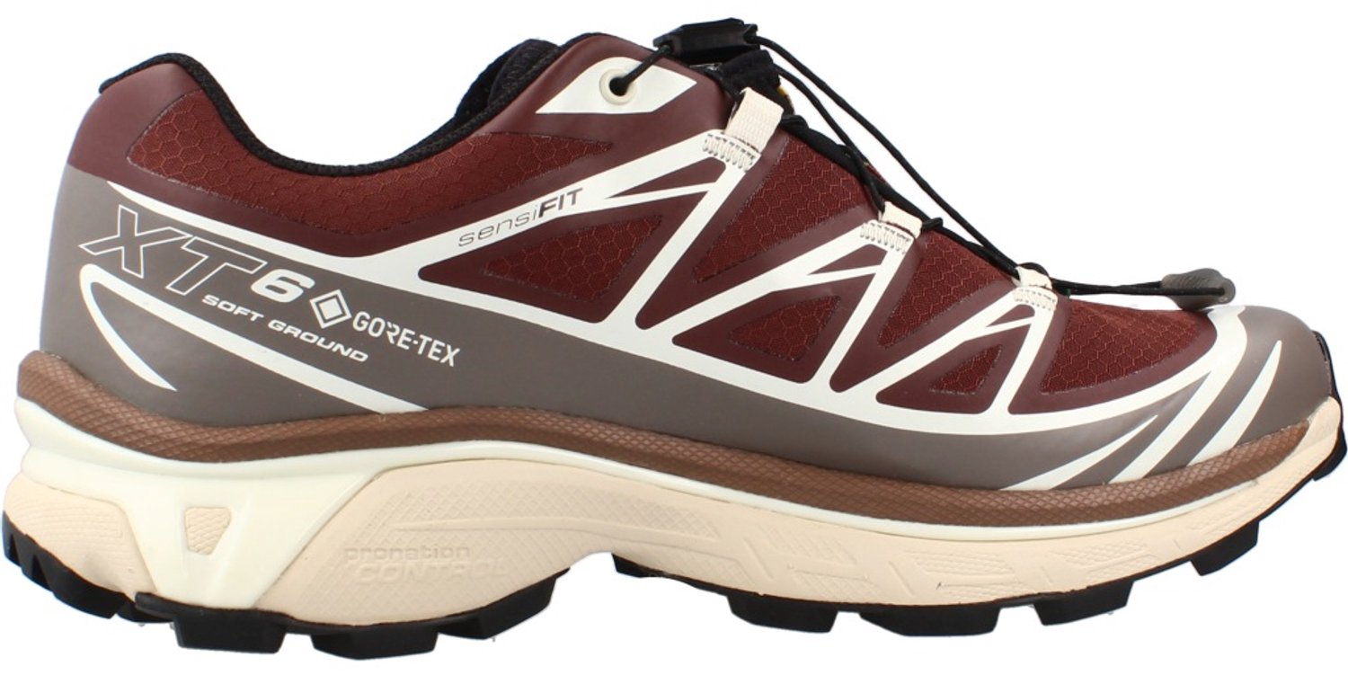 SALOMON XT 6 GTX EU Bruin