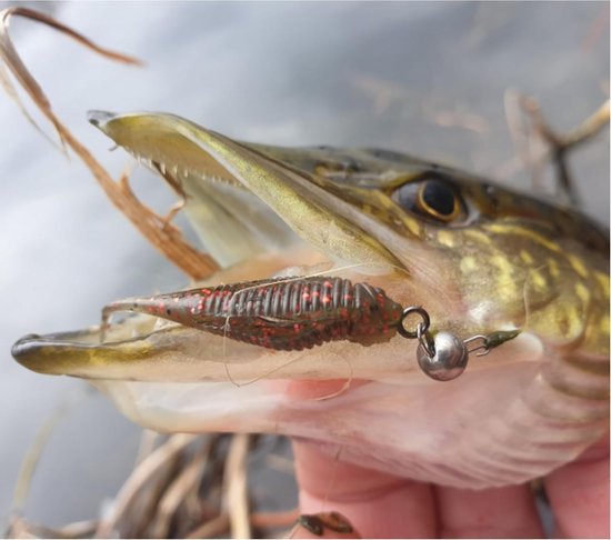 Cheburashka Lood Set 5x50g - Jig Heads - Dropshot Lood voor Offset Haken — afbeelding 2