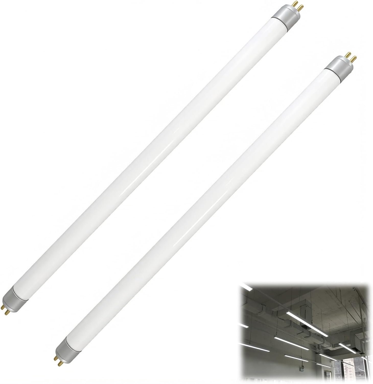 TL-buizen T5 300 mm - set van 2 - 8 W, koud wit 6000 K - reservebuis voor badkamerkast en keuken - m-winkel