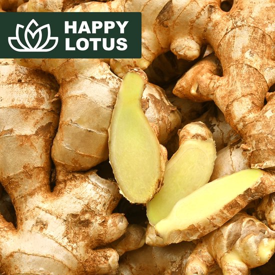 Verse gemberwortels, deels doorgesneden met zichtbaar lichtgele binnenkant, met Happy Lotus-logo.