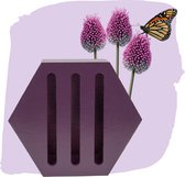 Vlinderhuisje met 25 Alliumbollen