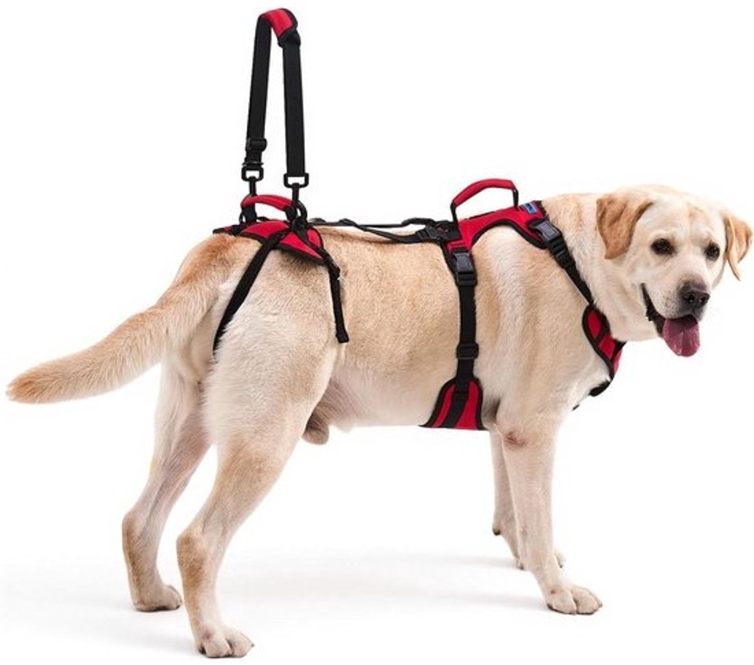 Hondenliftharnas - Ondersteunend harnas - Hulp bij lopen - Full body ondersteuning - Maat L - Rood