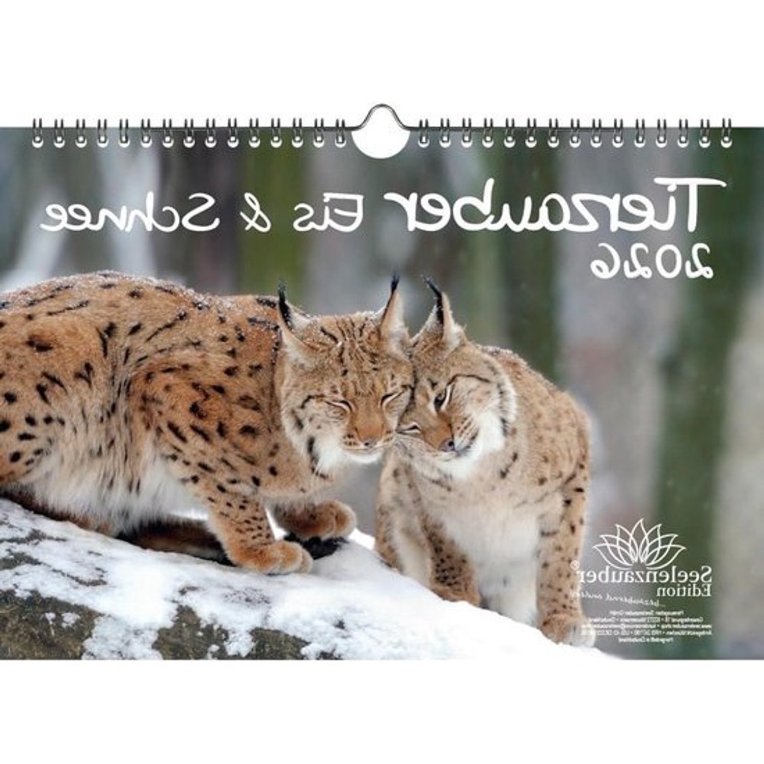 Wandkalender 2026 - Muurkalender Jaarkalender - Jaar Overzicht - Pool Dieren Motieven - A4 Liggen - Meerdere Kleuren