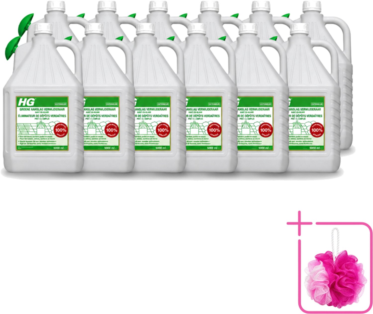 12 x HG - ECO Groene Aanslagreiniger - Kant-en-klaar met Sproeikop - 5 L - Bulkverpakking - Groene aanslag - Terras reinigen