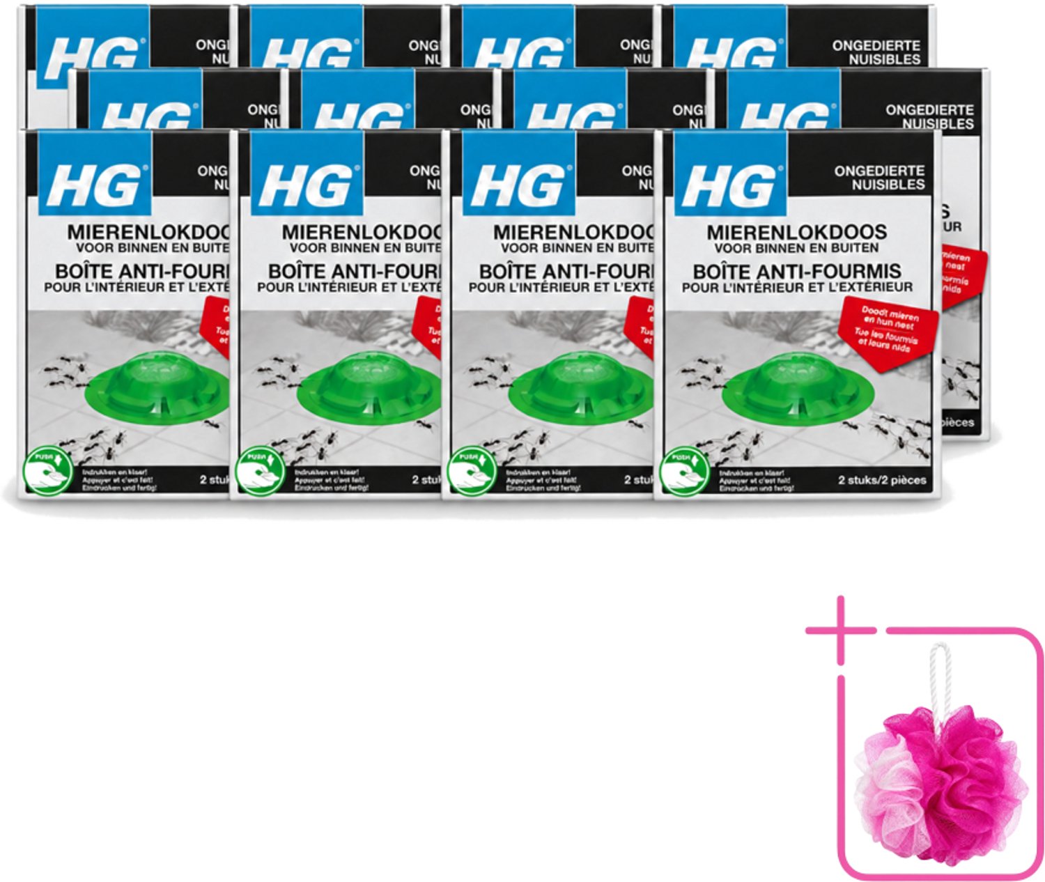 12 x HG X - Ongedierte - Mierenlokdoos Voor Binnen & Buiten - Bestrijdt Tot In Het Nest - 2 Doosjes - Bulkverpakking - Mierenbestrijding - Douchemop - Mierenlokdoos