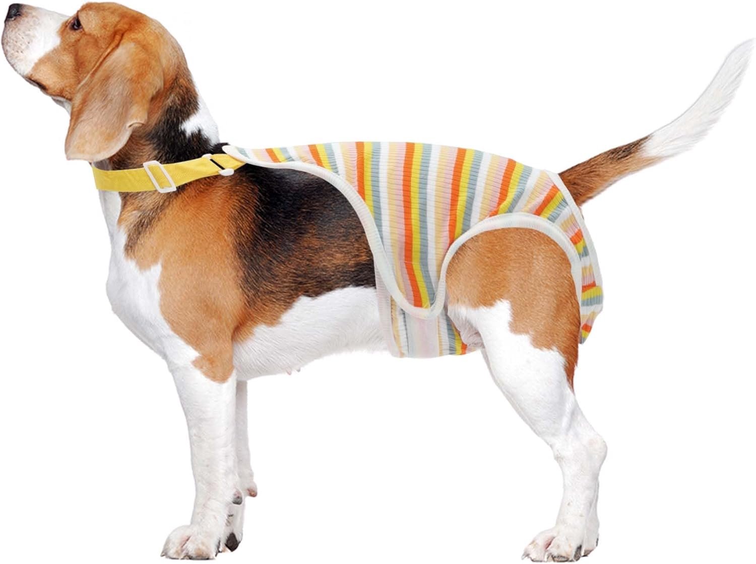 Diapers for Female Dogs, Cycle Diapers, Puppy Physiological Panties, Washable and Reusable Pants with Adjustable - ShopVlot