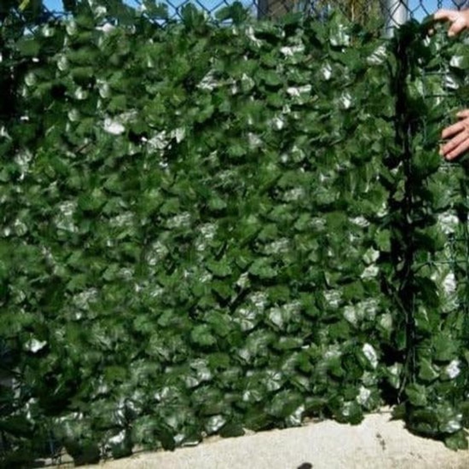 Kunstgras Rol - Nep Klimop - Privacy Creëren - UV Beschermd - 3 x 0.5 Meter - Groen