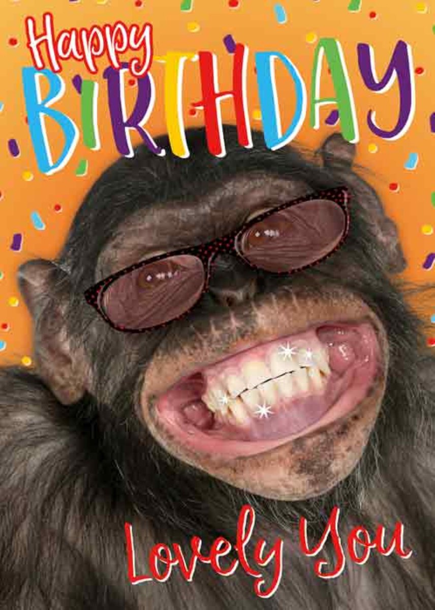 Luxe Wenskaart Verjaardag - Wenskaarten - Verjaardagskaart - Jarig - Birthday - Geburtstag - Anniversaire - Serie Bowie H. - Artige - Kaart - 1 Stuks - In Folie - Gratis Verzonden - Hoge Afnamekortingen - 12x17cm
