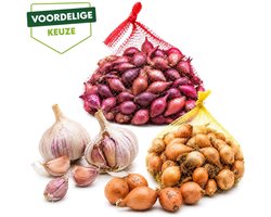Najaars Pootgoed Mix – 3 Bollen Rode Plantknoflook + 250 g Rode Plantui + 250 g Gele Plantui – Winterui & Knoflook