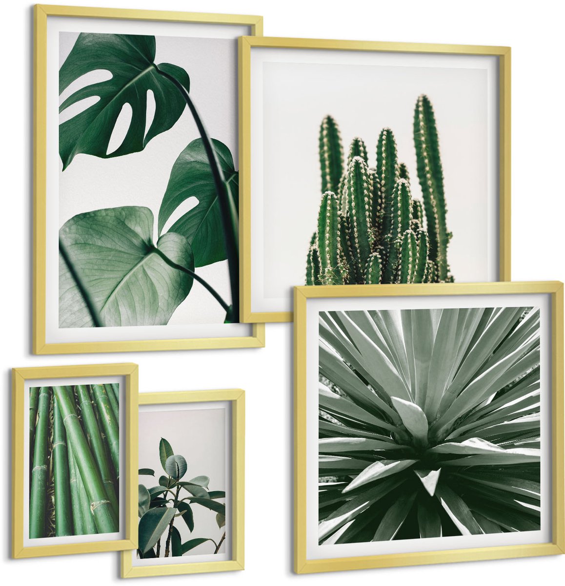 Coloray 5-Delige Schilderij Set - Groene Tropische Planten In Een Modern Interieurontwerp - 50 x 50 cm, 20 x 30 cm En 40 x 60 cm - Stijlvolle Wanddecoratie - Interieur - Stijlvolle Muurdecoratie