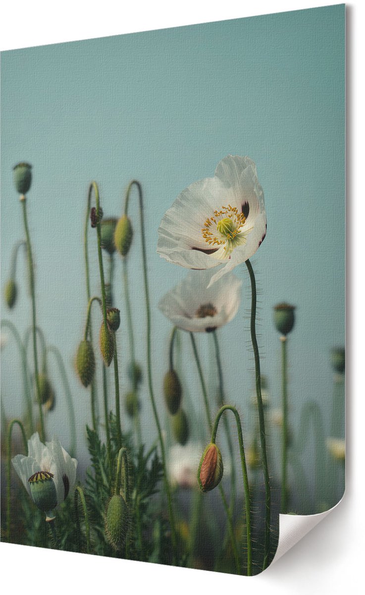 Coloray Canvas Poster Polycanvas - Stedelijke Elegantie, Blauw - A4 - Zwart Decoratie - Rechthoek - Decoratieve poster - Kantoor - Klassiek