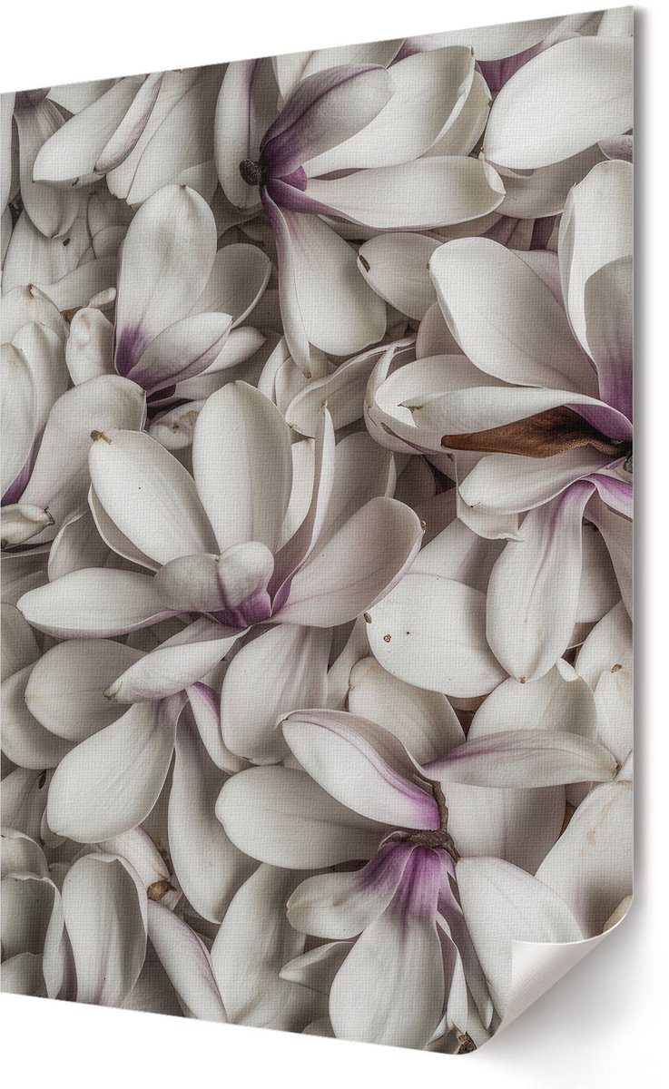 Coloray Canvas Poster Polycanvas - Verward Haar, Fotografie - A3 - Wit Poster - Rechthoek - Decoratieve poster - Woonkamer, Slaapkamer, Kantoor - Romantisch