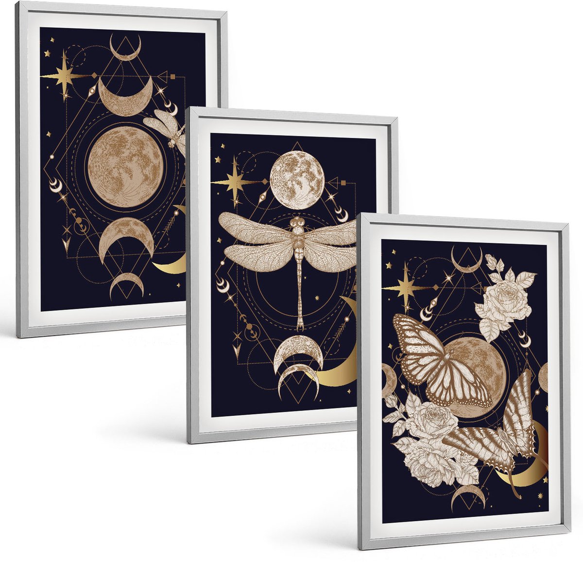 Coloray 3-Delige Schilderij Set - Natuurthema'S Met De Maan, De Ruimte En Bloemen. - 40 x 60 cm - Wanddecoratie - Muurdecoratie - Moderne Interieurdecoratie Zilveren lijst