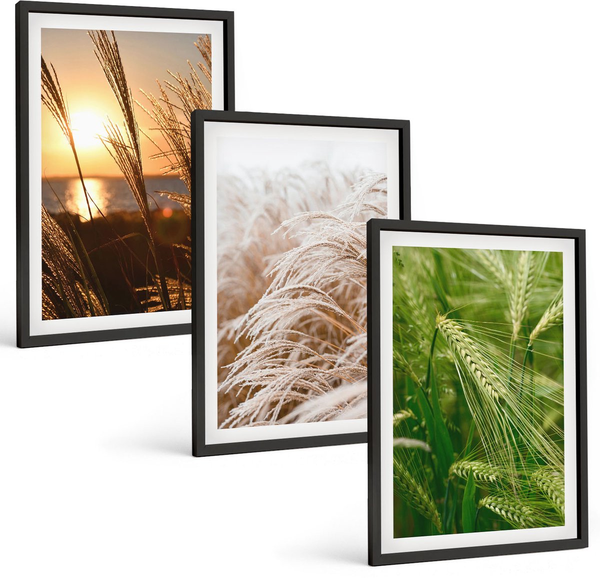 Coloray 3-Delige Schilderij Set - Verschillende Soorten Grassen, Kleurrijke Natuur - 40 x 60 cm - Wanddecoratie - Muurdecoratie - Woonkamer - Woonkamer Decoratie