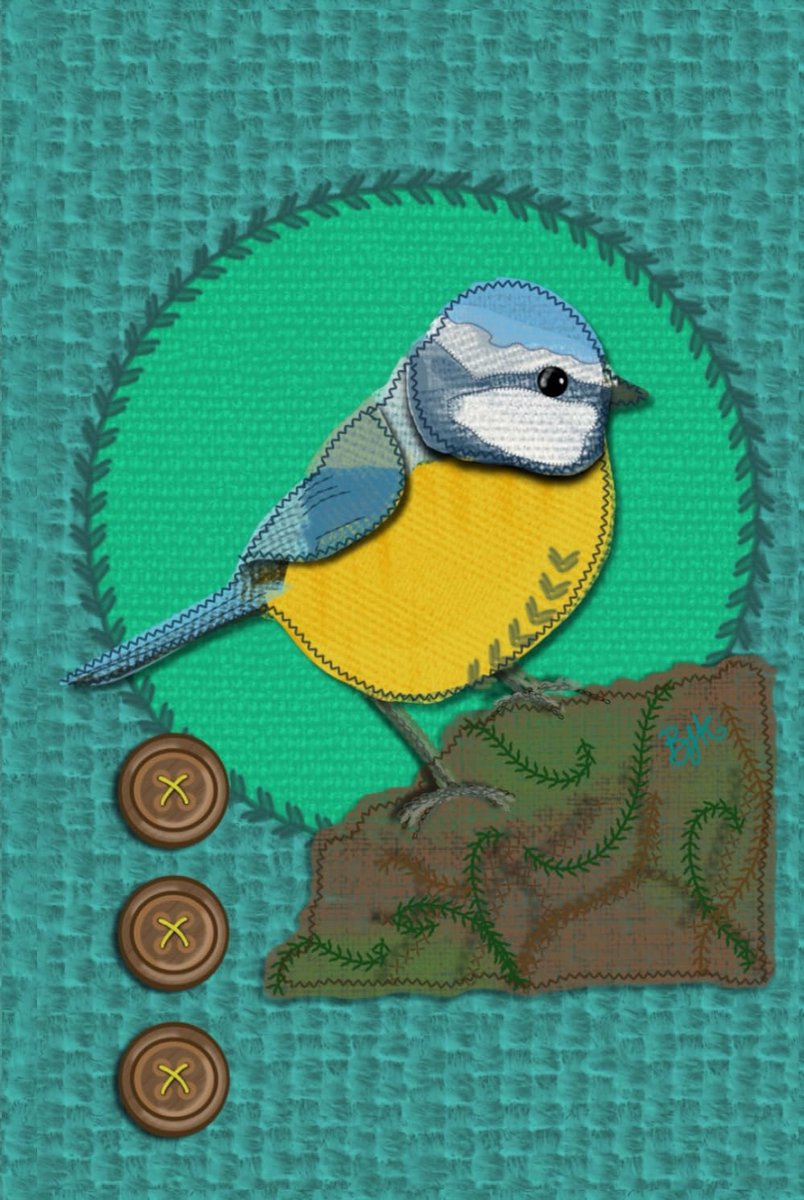 Blue Tit Notebook: Beautiful Blue Tit hardback journal, 120 pages lined paper with lovely faint bird illustrations - ShopVlot