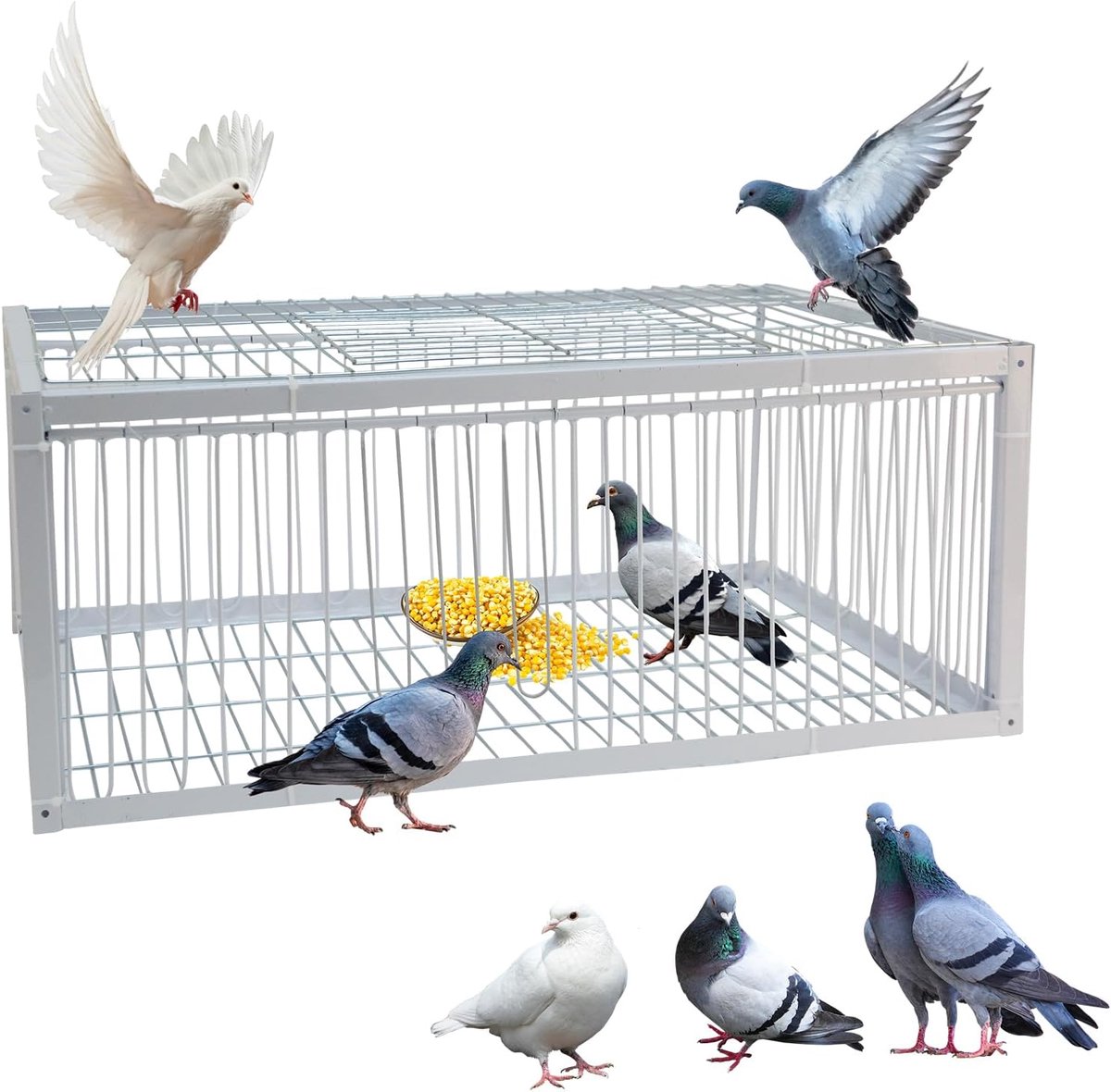 Duivenkooi, vogelkooi kooi met eenrichtingang | 4-zijdig en een lichtbak voor duiven, papegaaien, parkieten en andere vogels, 63 x 43 x 26 cm