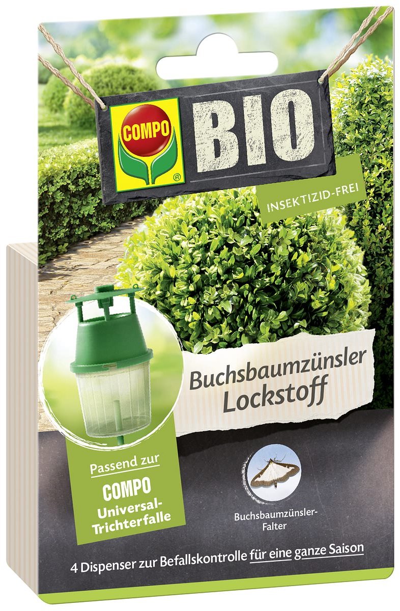 COMPO Bio lokstof buxusmot, 4-pack
