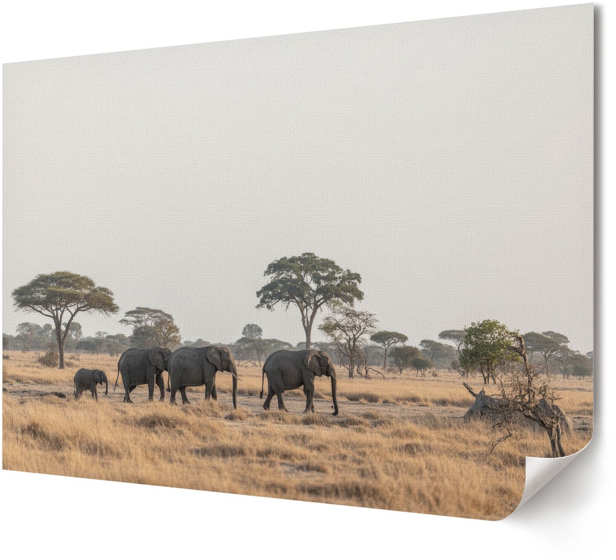 Coloray Polycanvas Wandposter - Bloemsymmetrie, Illustratie - A4 - Groen Patroon - Rechthoek - Muurkunst - Woonkamer, Slaapkamer, Kantoor - Klassiek