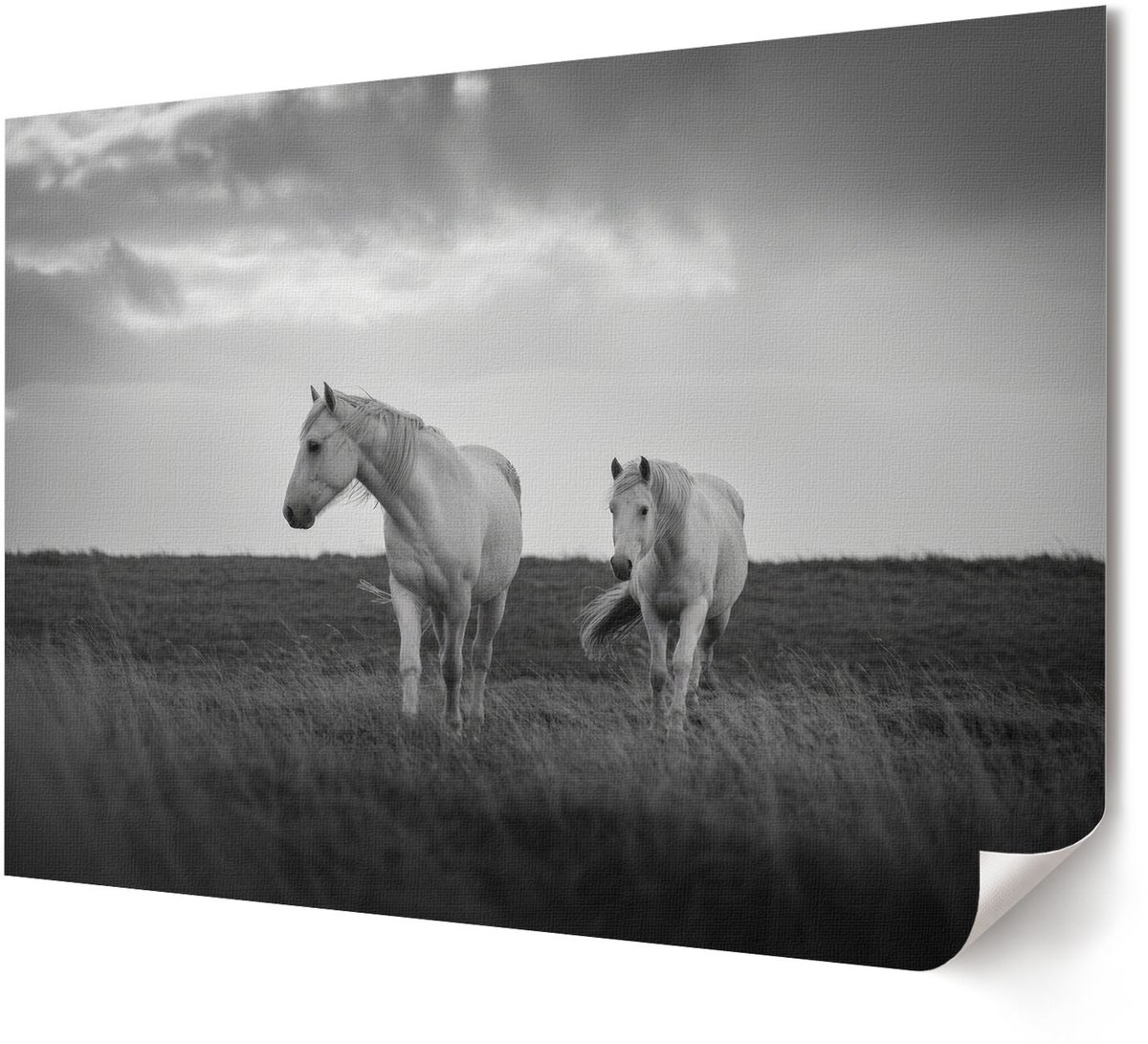 Coloray Polycanvas Wandposter - Zeegezicht, Fotografie - A4 - Groen Design - Rechthoek - Wandkunstwerk - Woonkamer, Slaapkamer, Kantoor - Modern