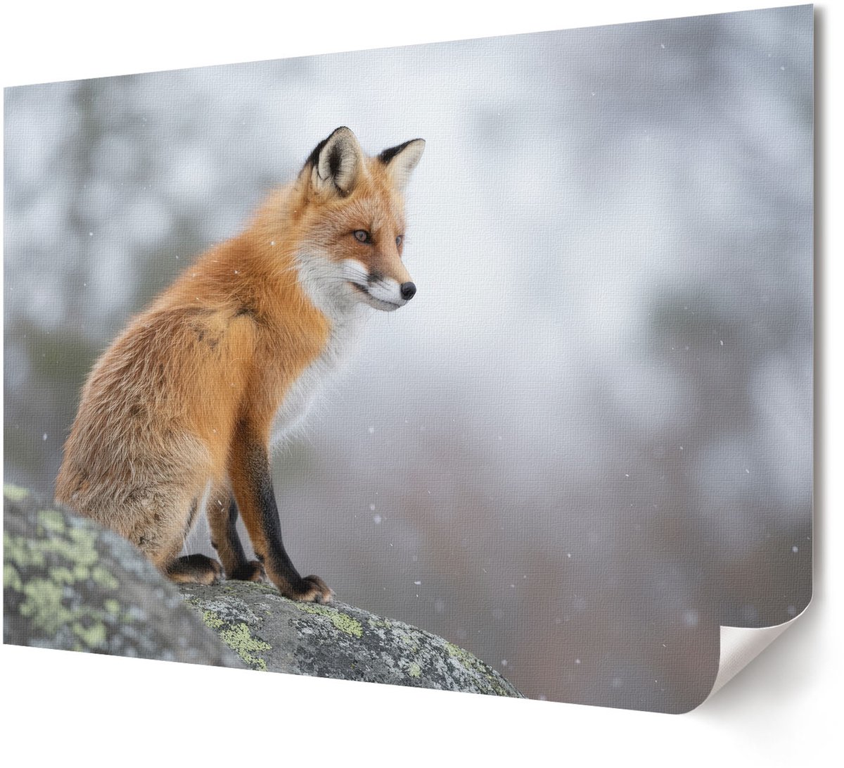 Coloray Polycanvas Wandposter - Gedraaide Trap, Fotografie - A4 - Wit Motief - Rechthoek - Interieurdecoratie - Woonkamer, Slaapkamer, Kantoor - Modern
