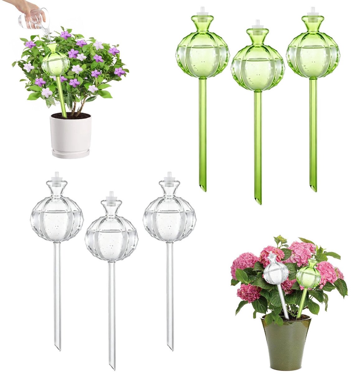 Elzusha - Automatische Irrigatieballen, Set van 6