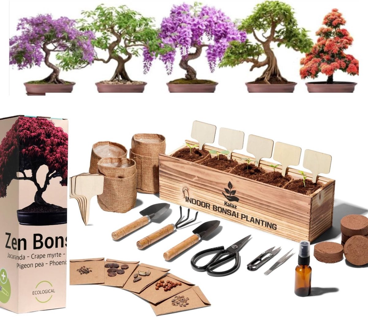 Bonsai Set - Bonsai - Compleet met Natuurlijke Planten en Gereedschap - Voor Tuinliefhebbers