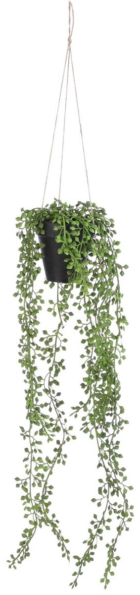 Mica Decorations Senecio Kunst Hangplant in Pot - H68 x Ø9 cm - Groen