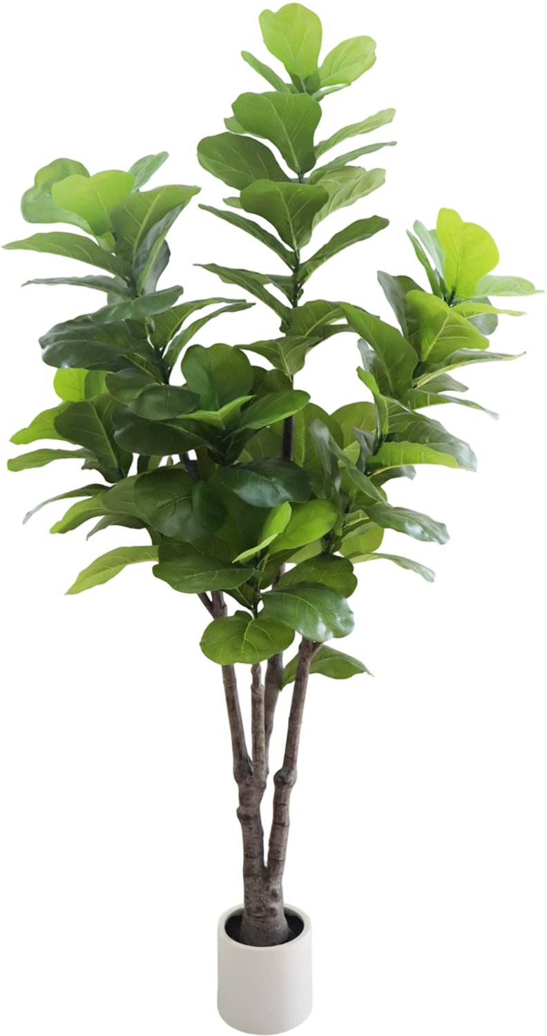 HOERFURIY Kunstficus Lyrata 180 cm met Witte Pot - Onderhoudsvrije Plant