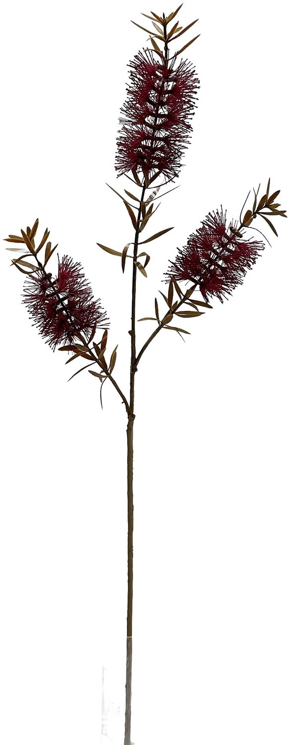 homebound by ky Kunsttak Banksia 75cm burgundy