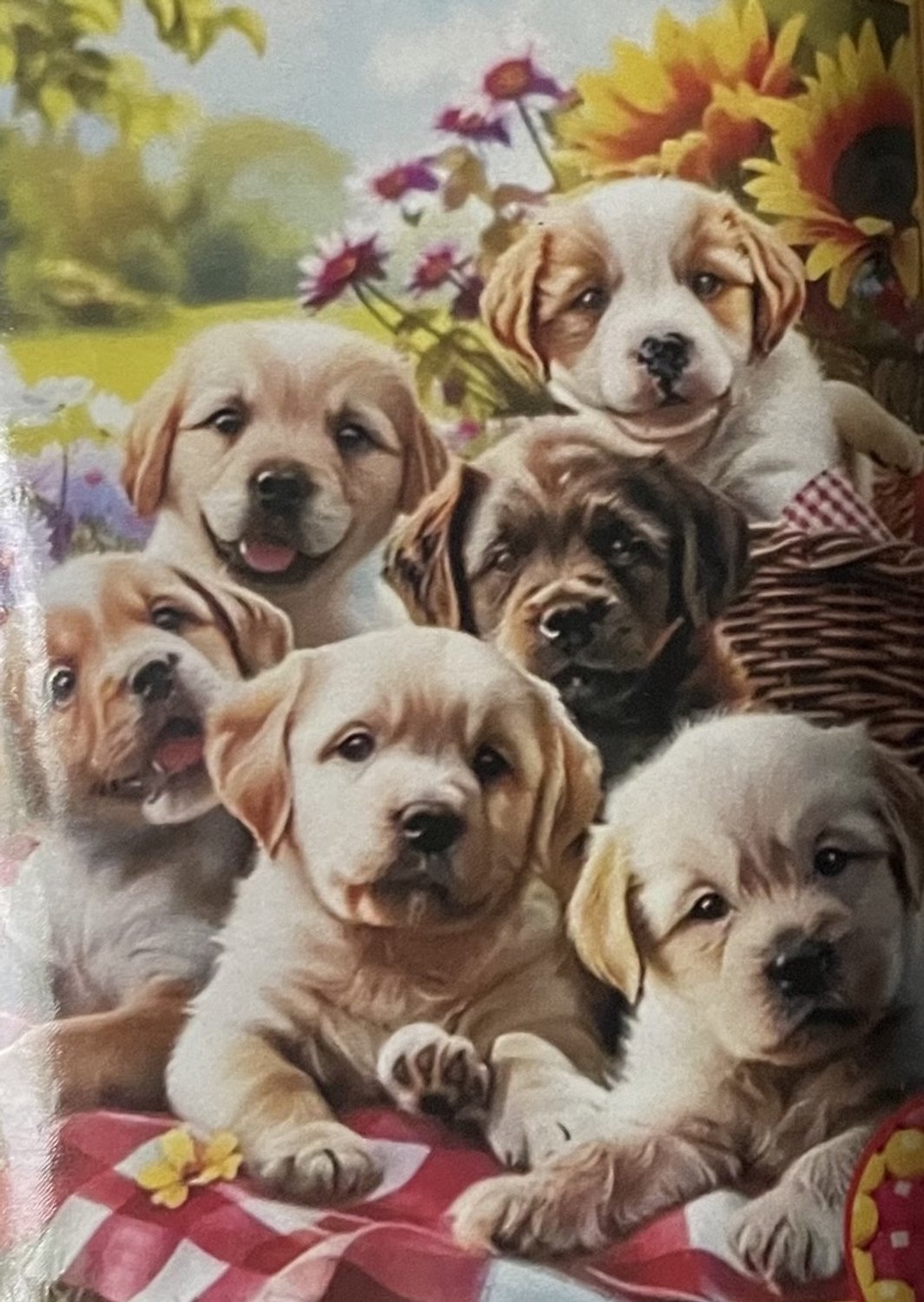 TOPMO - Puppy vriendjes - Diamond painting pakket - HQ Diamond Painting - volledig dekkend - Diamant Schilderen – voor Volwassenen – ROND - 40 x 50 CM