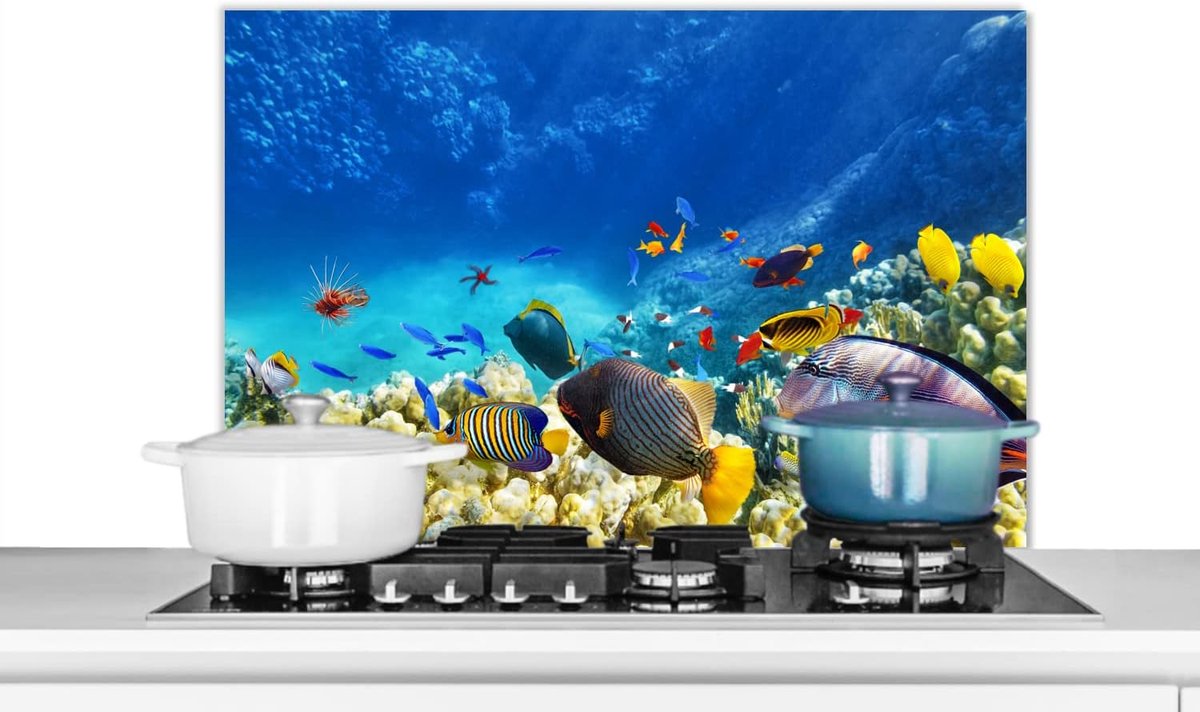 Spatscherm Keuken - 90x60 cm - Zee - Vis - Koraal - Onderwaterwereld