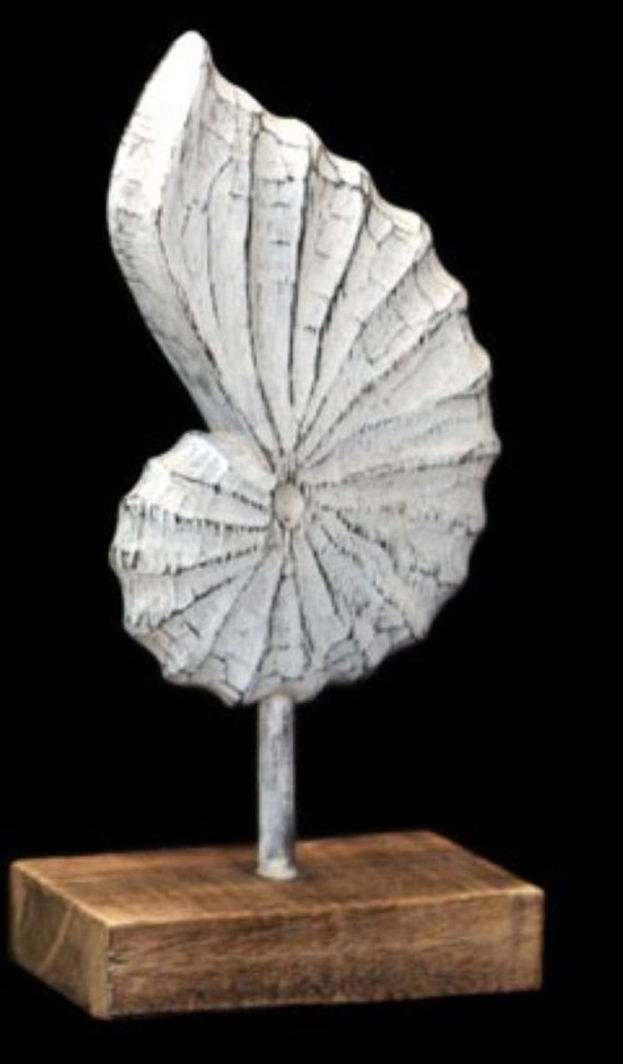 Houten ornament van schelp op voetstuk - staand - Maat S - 33x16 cm - antique white - Woodart