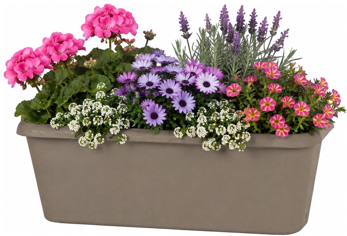 EDA Chorus balkon bloempot / plantenbak - kunststof - taupe - 30 x 12 x 11 cm - met ophangbeugels