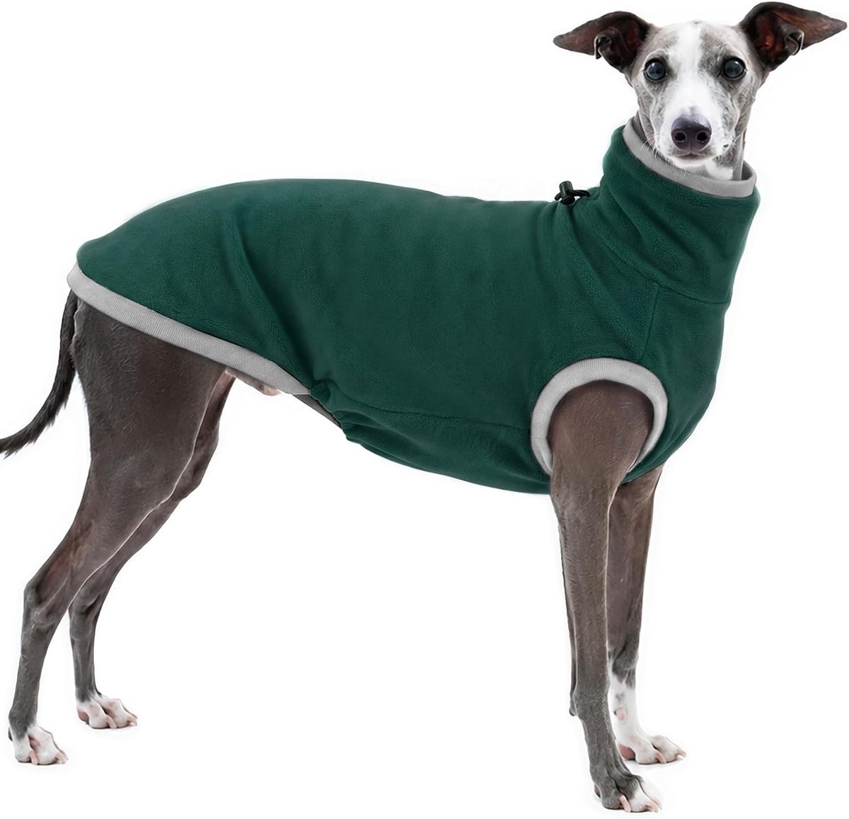 Sweatshirts Winter, Greyhound Jas Fleece Coltrui Hondentrui Grote Gebreide Trui Gebreide Grijze Hond Onesie Lurcher Trui Lurcher Kleding (Groen, XL)