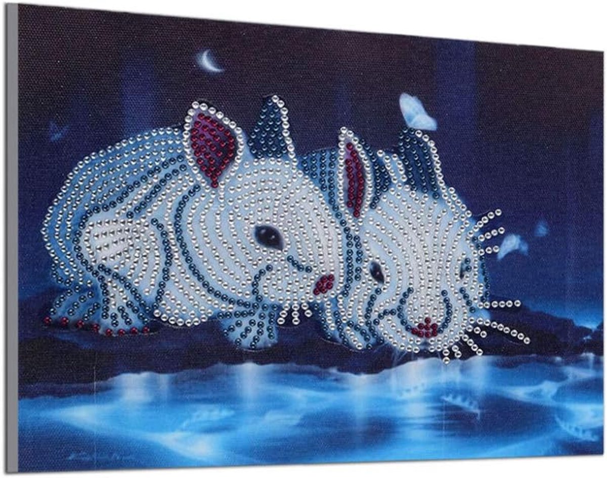 Schilderij DIY 5D Speciale Vorm Strass Steentjes, ABEUTY Rode Mandala Bloemen Bloemen, Gedeeltelijke Boor Kristal Diamant Kunst Kits Boom