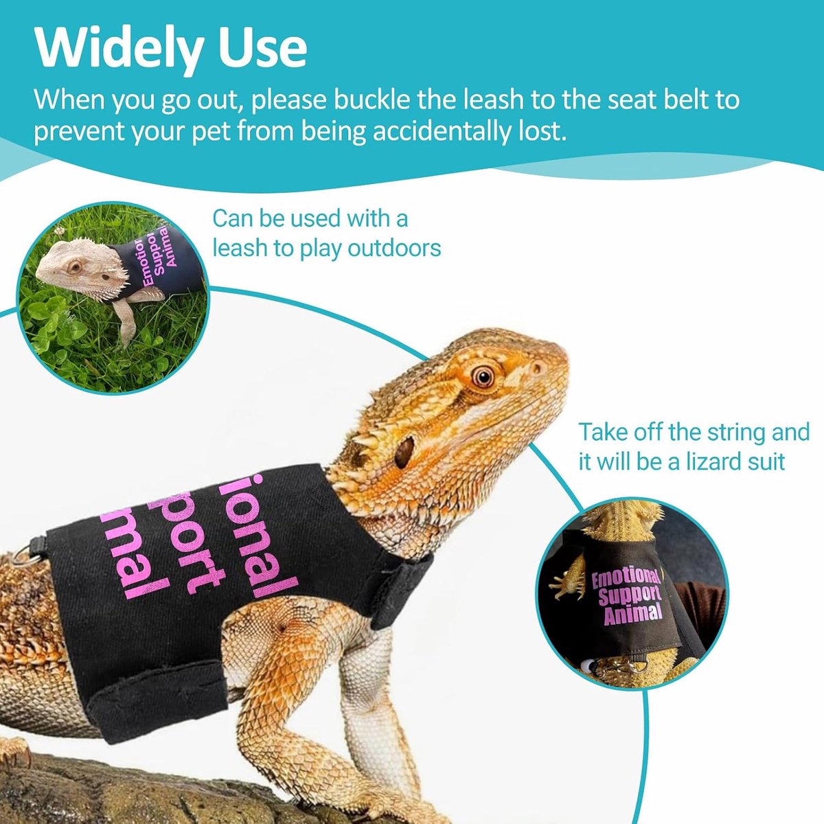 Dragon Hagediss-kleding met riemset - schattige hagedis reptiel klein dier verstelbaar harnas kleding voor wandelen buiten beveiligingskostuum foto rekwisiet (roze)