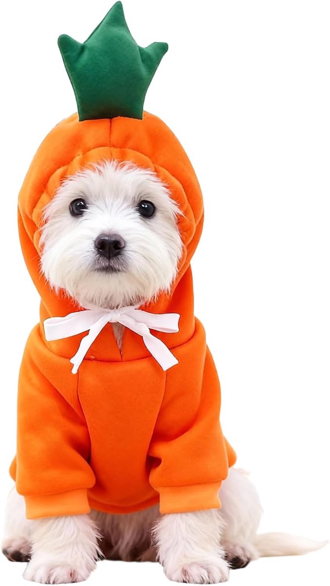 Sweatshirt voor honden, kerstkostuum, schattige fruitkleding, honden, kerstkostuum voor foto's en kleine en middelgrote honden (L)